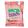 Valda Friends Canela Sache 25g 7891137004046.png